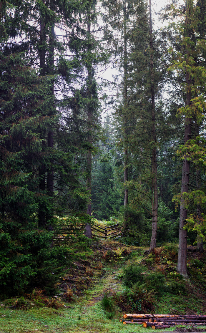 I naturen